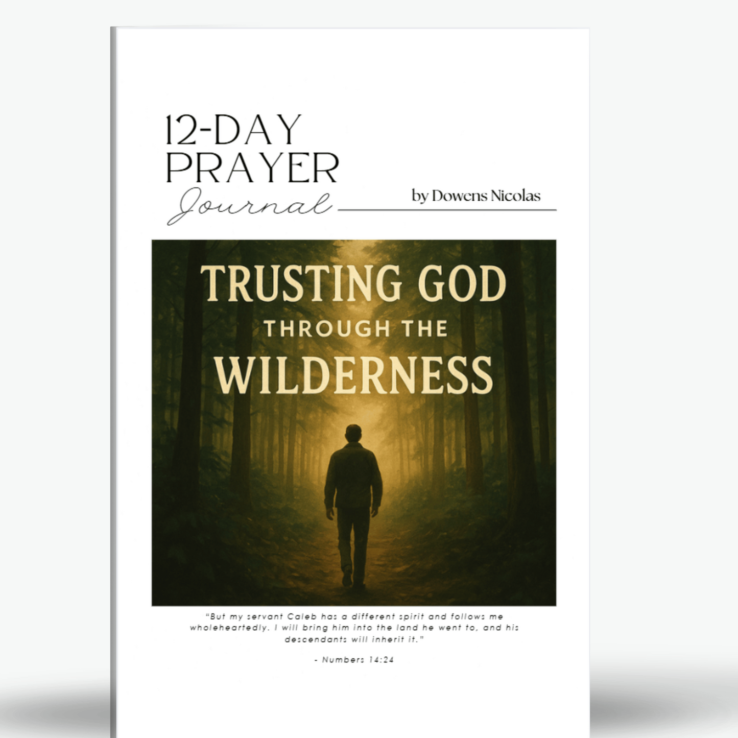 Trusting God Through The Wilderness 12-Day Prayer Journal
